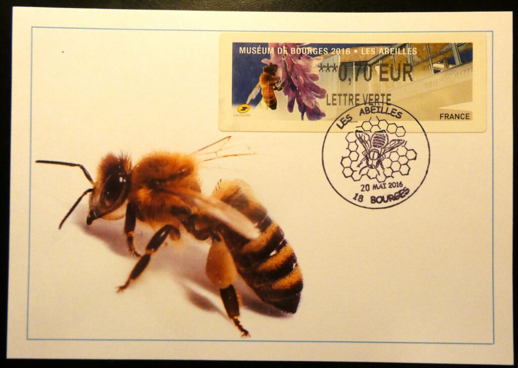 Abeille solitaire butinant une fleur (timbre de distributeur La Poste) sur une carte postale éditée par le CPB représentant une abeille solitaire. © Cercle Philatélique de Bourges, tous droits réservés.
