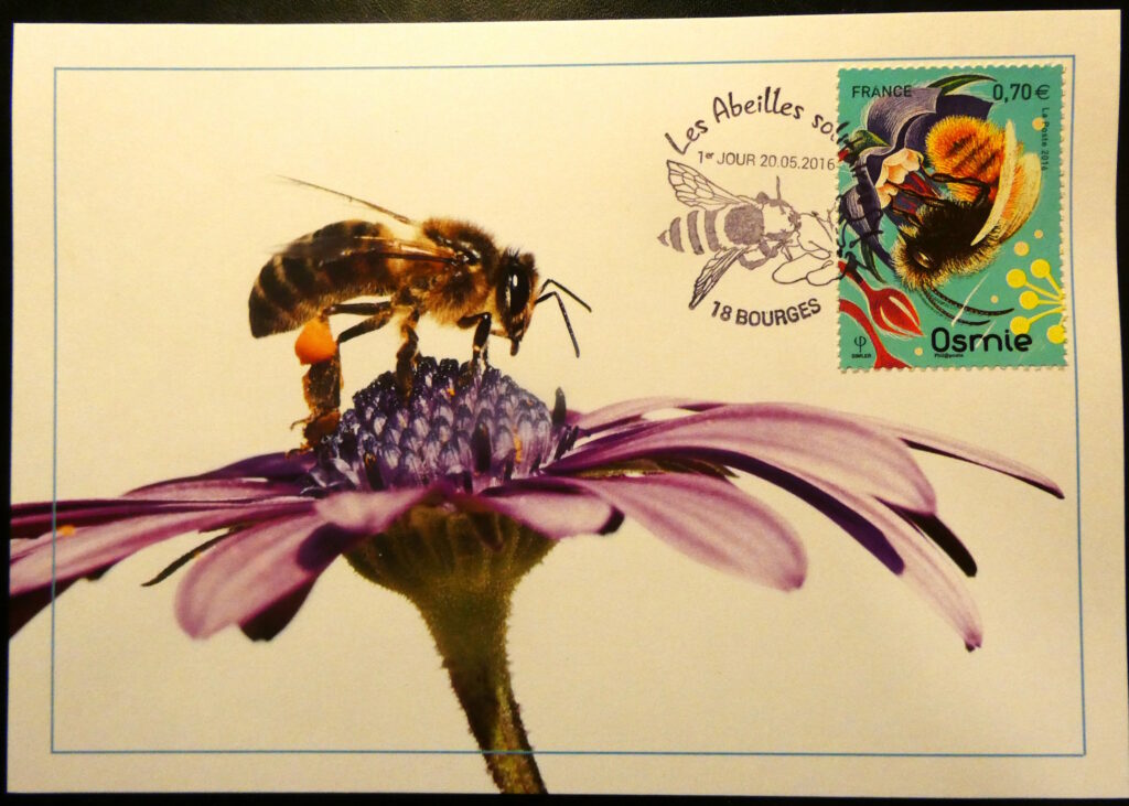 Abeille solitaire avec le timbre Osmie butinant une fleur. Carte postale éditée par le CPB. © Cercle Philatélique de Bourges, tous droits réservés.