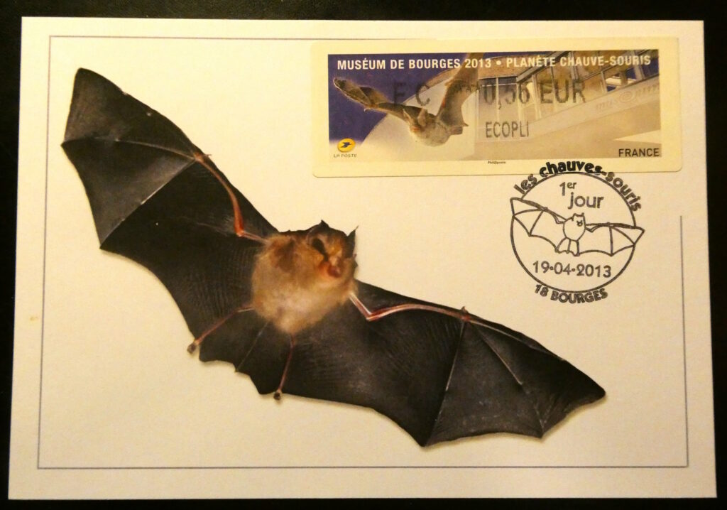 Carte postale représentant une chauve souris avec un timbre de distributeur de La Poste. © Cercle Philatélique de Bourges, tous droits réservés.